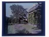 Garden Eastman