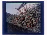 [Eastman House Gardens]