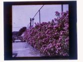 Kodak Park