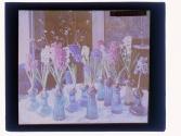 Hyacinth