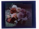 [Cut flowers]