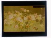 [Cut flowers]