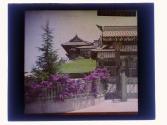 [View of house and garden]