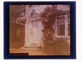 [House and flowers]