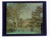[Warner Castle and grounds, Rochester NY]