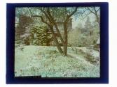 [Warner Castle and grounds, Rochester NY]