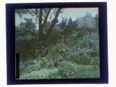 [Grounds at Warner Castle, Rochester NY]