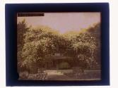 [House and garden]
