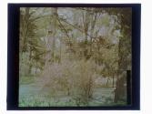 [Grounds at Warner Castle, Rochester NY]