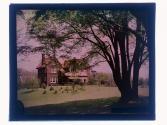 [House and garden]
