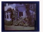[House and garden]