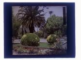 [Garden view]