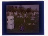 Pasadena - Cemetery