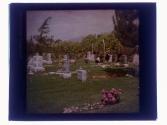 Cemetery Cal.