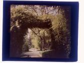 Arch Entrance-Hotel Huntington Pasadena Ca