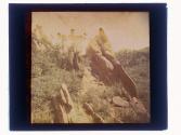 [View of rocks]