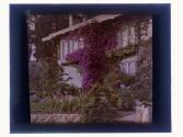 [House and garden]