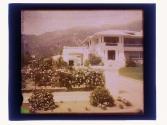 [House and garden]
