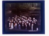 [Group of nurses]