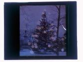 Washington Park Christmas xmas tree