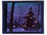 [Tree with lights]