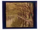 [Trees and water]