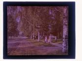 Culver Rd 1910