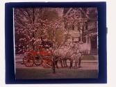 Fire Truck with Magnolias - Oxford