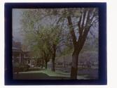 [Houses and trees]