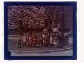 [School children with teachers under Magnolia trees on Oxford Street]