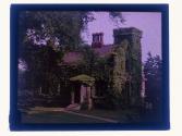 [House covered with ivy]