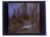[Genesee River View]