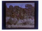 [Genesee River View]