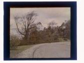 [Landscape and house]