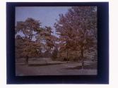 [Landscape]