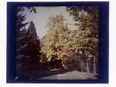 [Landscape]
