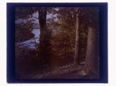 [Trees and water]