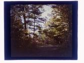 [Landscape]