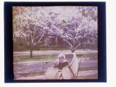Girl in Buggy at Magnolias