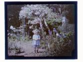 [Child in garden]