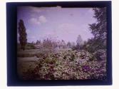 [Landscape - Highland Park(?)]