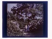 [Two women in garden]