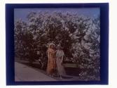 1930 Lilac Queen