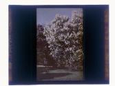 [Highland (?) Park view]