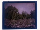 [Highland Park view]