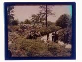 [People in park]