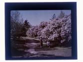 [Two women in park]