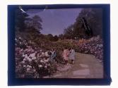 [Three children in park]