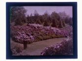 [Park view]