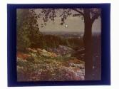 [Highland Park (?) view]